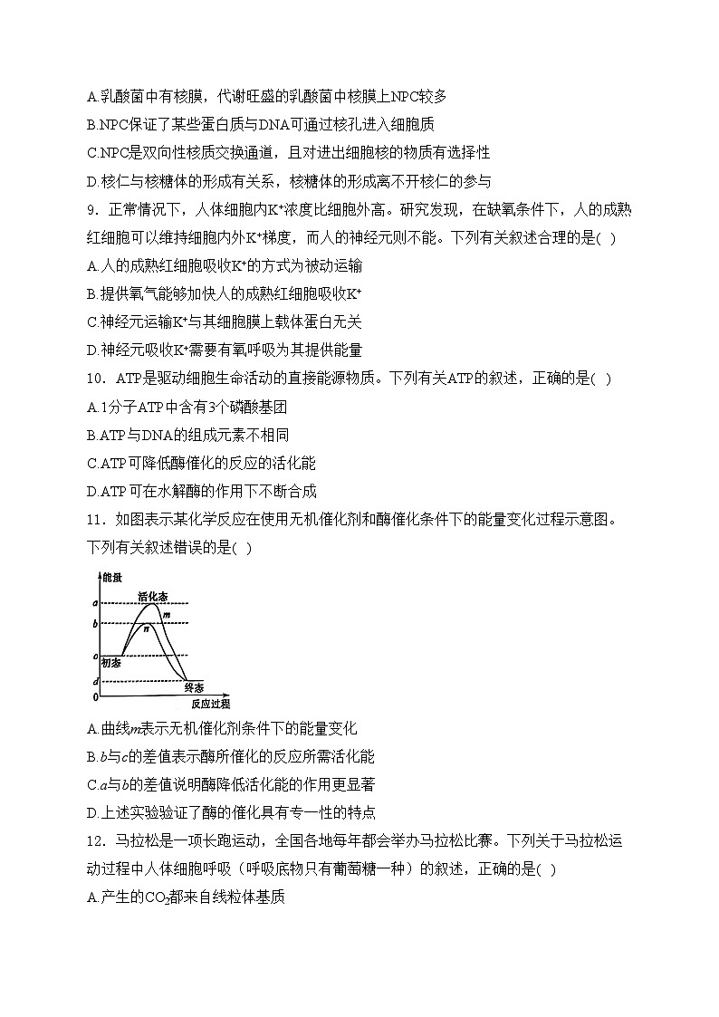 辽宁省锦州市某校2024-2025学年高一上学期期末质量检测生物试卷(含答案)第3页