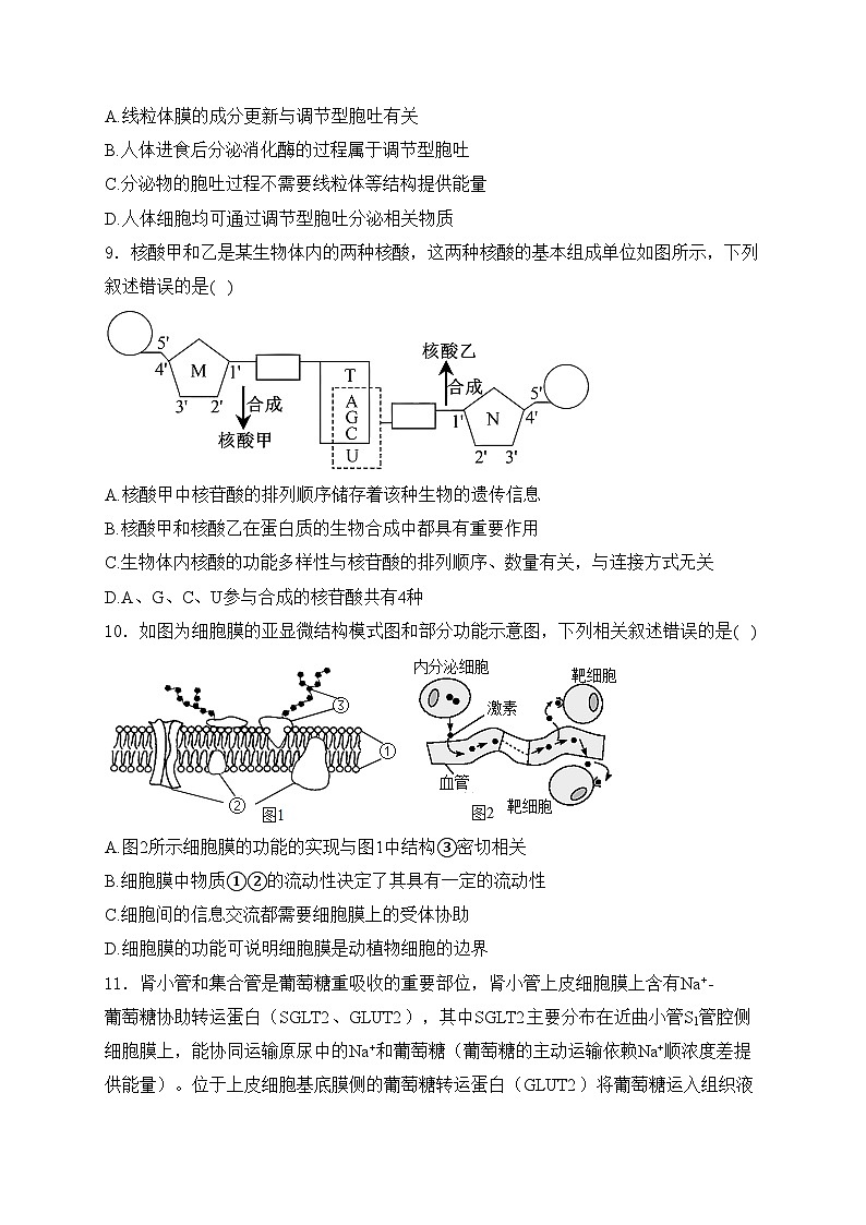 泊头市第一中学2024-2025学年高一上学期12月第三次月考生物试卷(含答案)第3页
