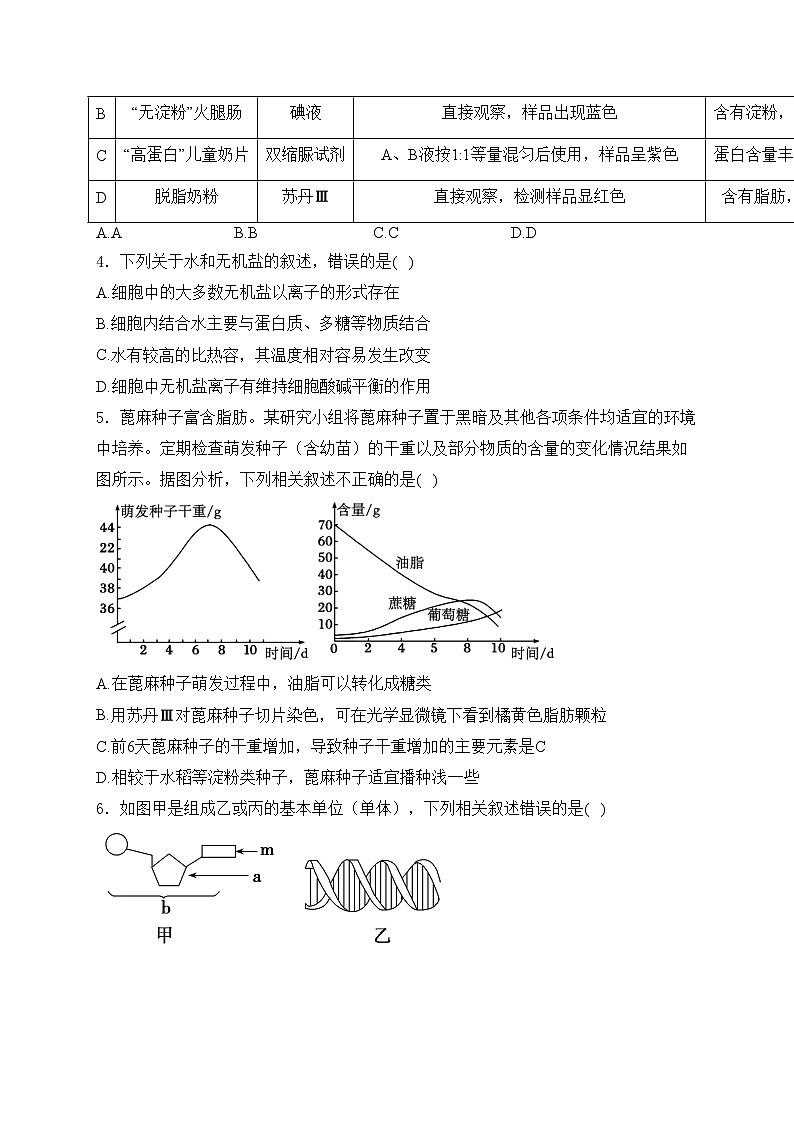 山西省实验中学2024-2025学年高一上学期12月第三次月考生物试卷(含答案)第2页