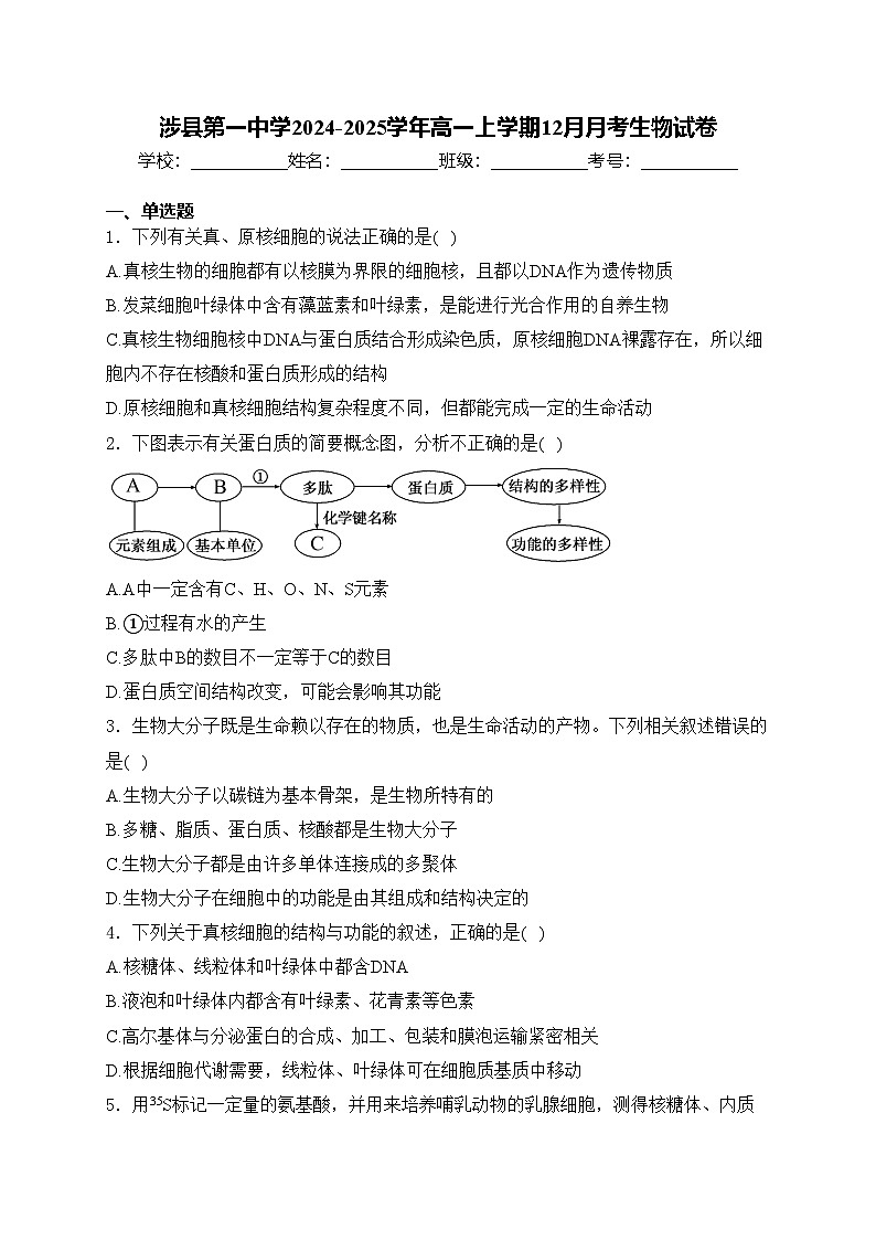 涉县第一中学2024-2025学年高一上学期12月月考生物试卷(含答案)第1页
