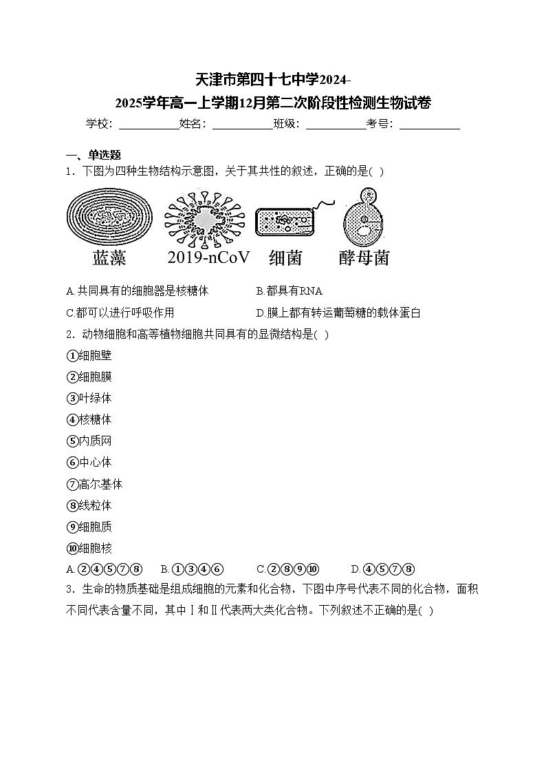 天津市第四十七中学2024-2025学年高一上学期12月第二次阶段性检测生物试卷(含答案)第1页