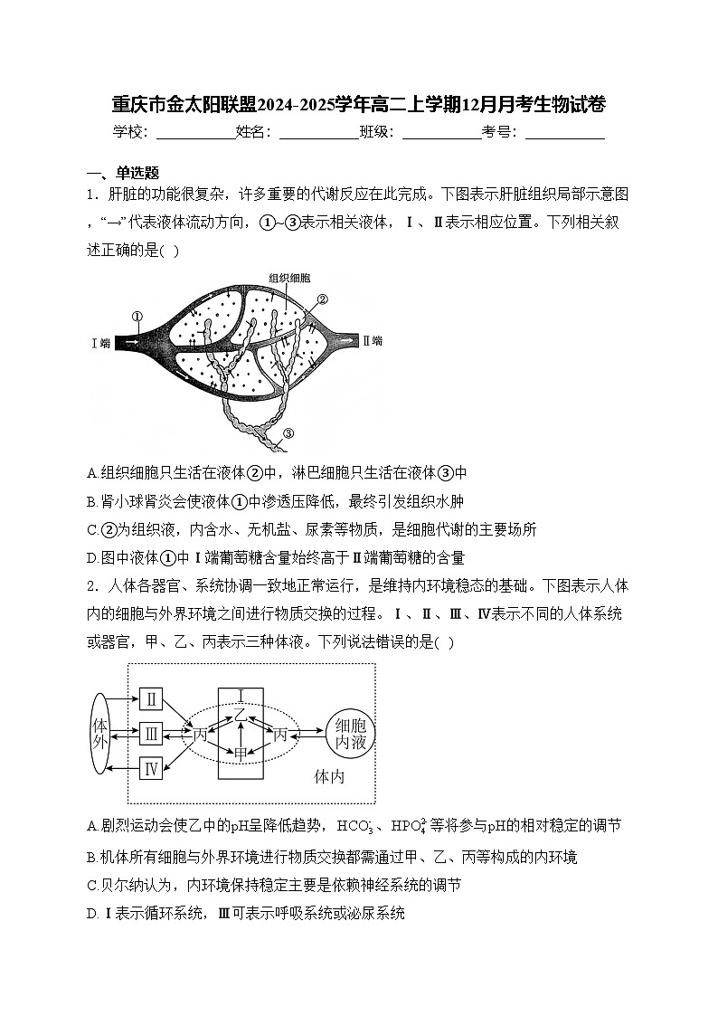 重庆市金太阳联盟2024-2025学年高二上学期12月月考生物试卷(含答案)第1页