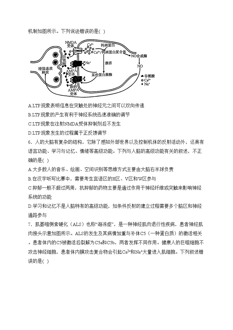 重庆市金太阳联盟2024-2025学年高二上学期12月月考生物试卷(含答案)第3页