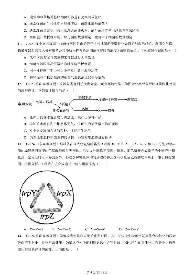 2022-2024全国高考真题生物汇编：微生物培养技术及应用第3页