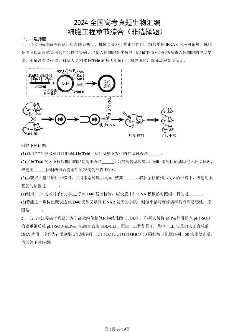 2024全国高考真题生物汇编：细胞工程章节综合（非选择题）第1页