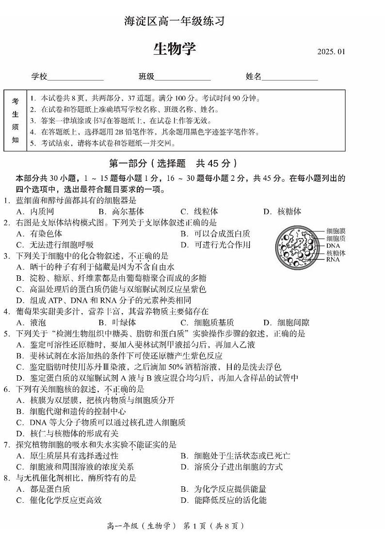 2025北京海淀高一（上）期末生物试卷第1页