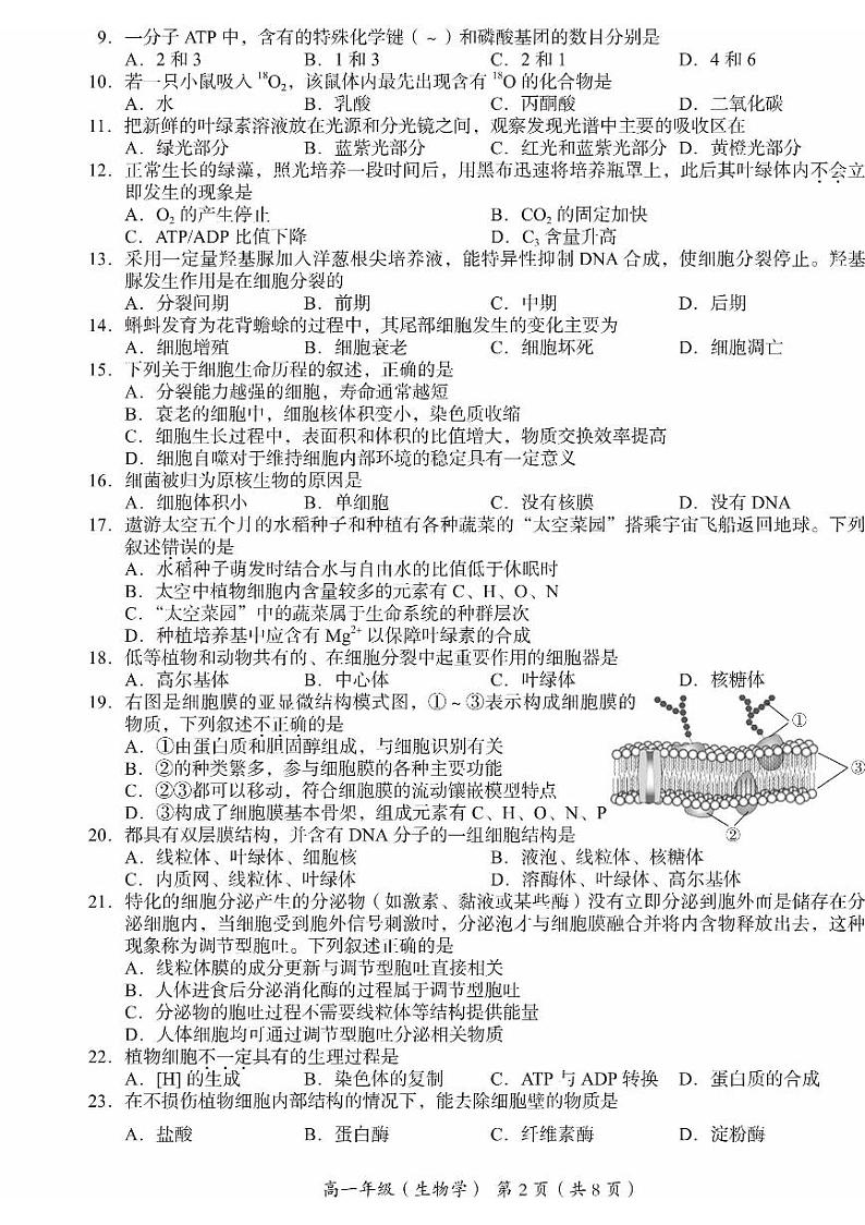2025北京海淀高一（上）期末生物试卷第2页