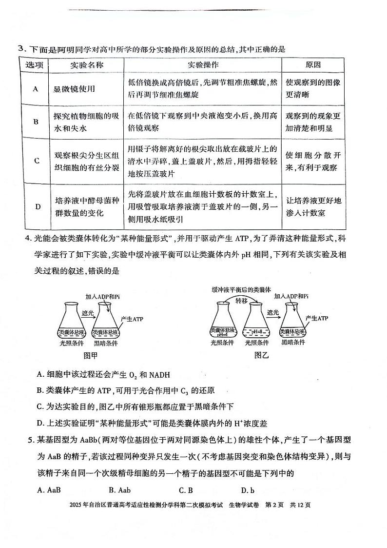 新疆维吾尔自治区2025届普通高考适应性检测分学科第二次模拟考试生物第2页