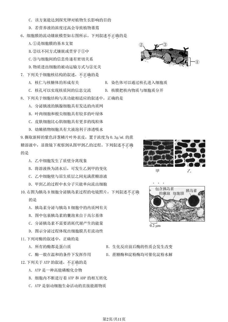 2024北京东城高一（上）期末生物试卷（有答案）第2页
