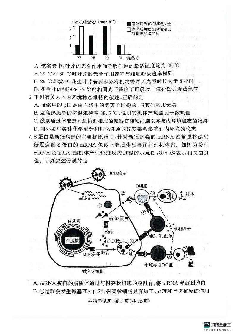 河南湘豫名校2024-2025学年高三上学期9月新高考适应性调研考试生物试题第3页