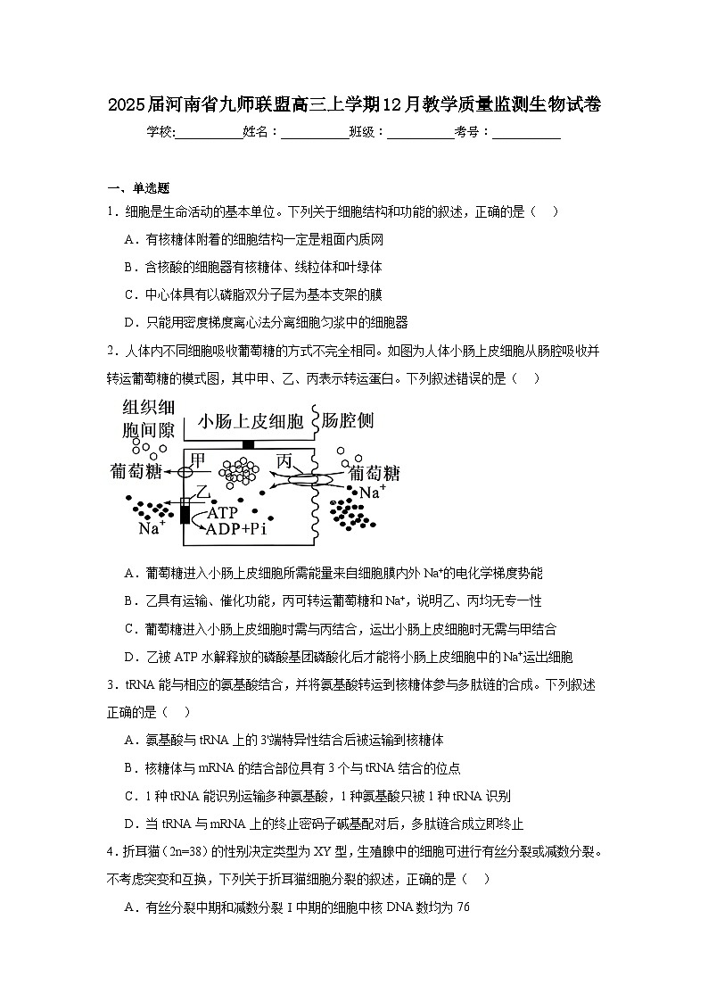 2025届河南省九师联盟高三上学期12月教学质量监测生物试卷第1页