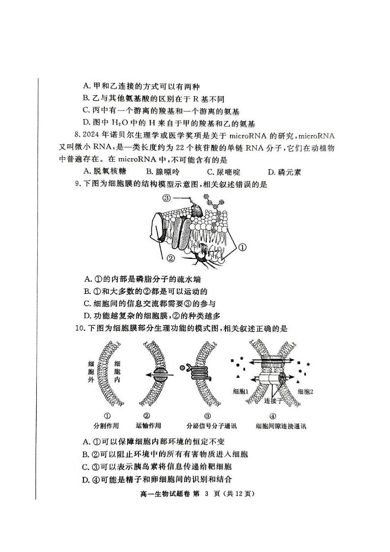 河南省郑州市2024-2025学年高一上学期1月期末生物试题第3页