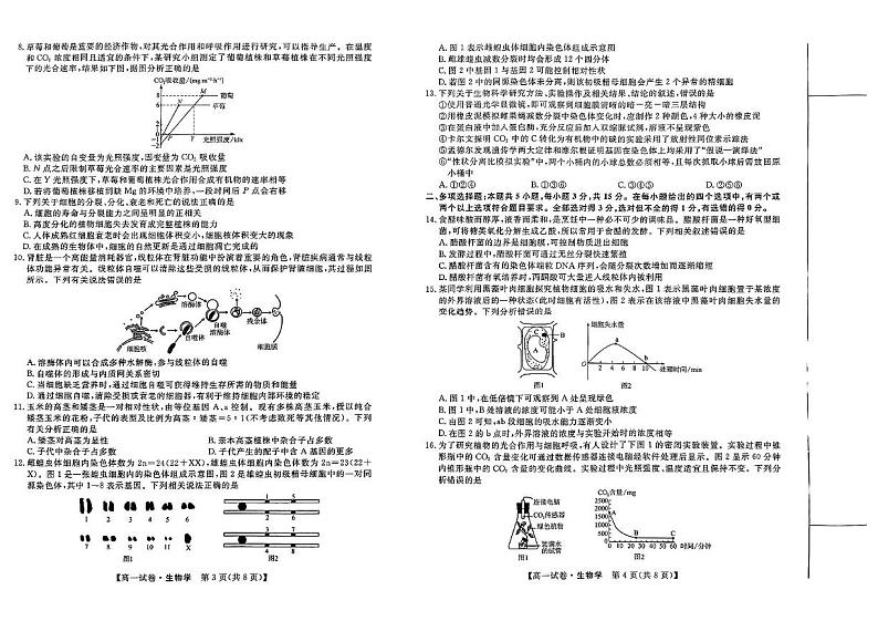 河北省保定市2024-2025学年高一上学期1月期末生物试题(1)第2页