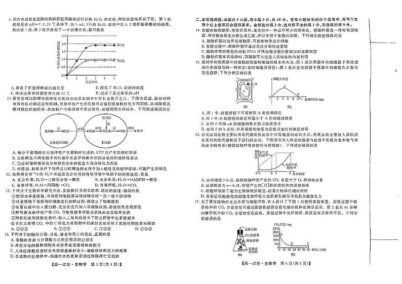 河北省保定市2024-2025学年高一上学期1月期末生物试题第2页