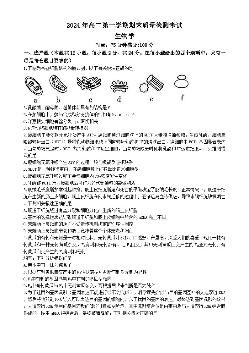 湖南省炎德英才名校联合体2024-2025学年高二上学期期末联考生物试卷（Word版附解析）第1页