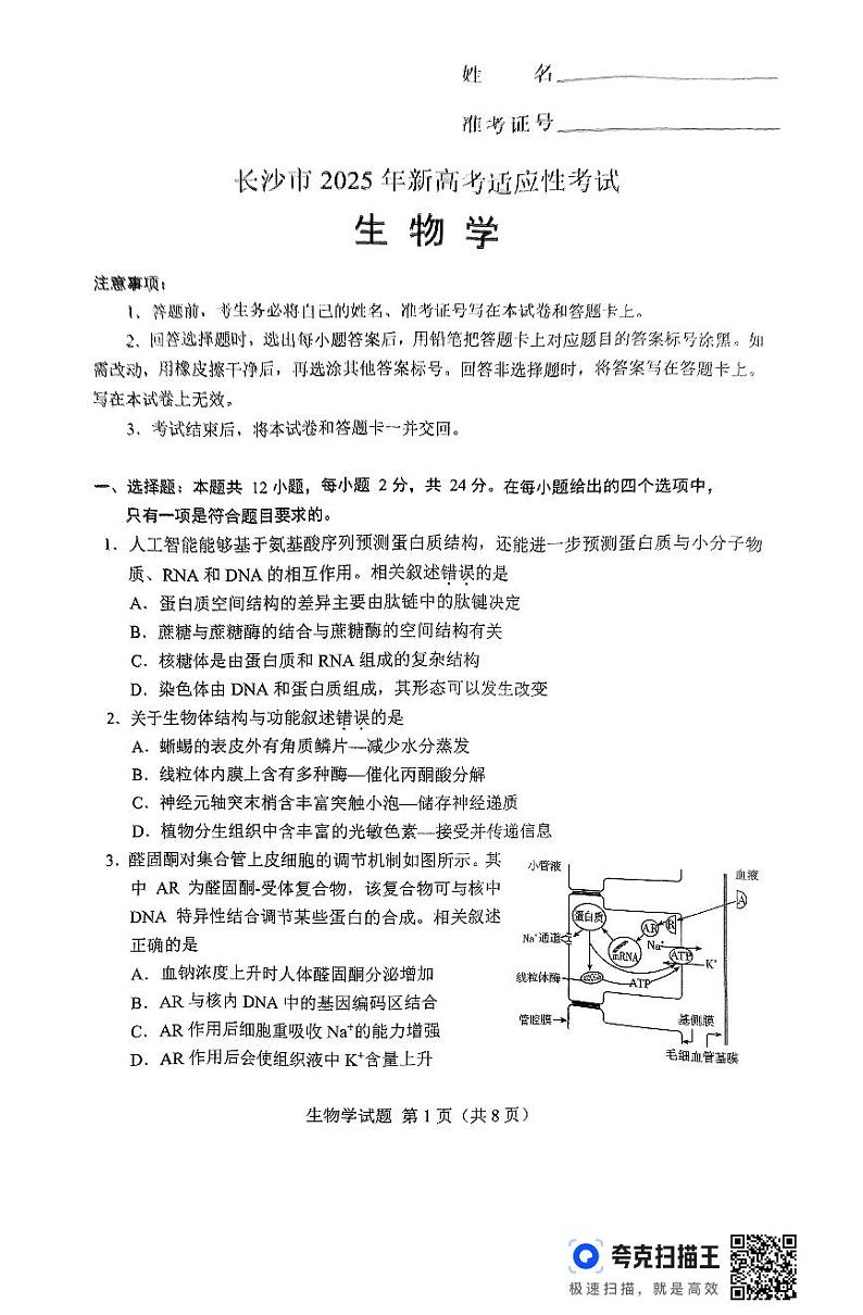 2025届湖南省长沙市高三上学期新高考适应性考试生物考试试题无答案第1页