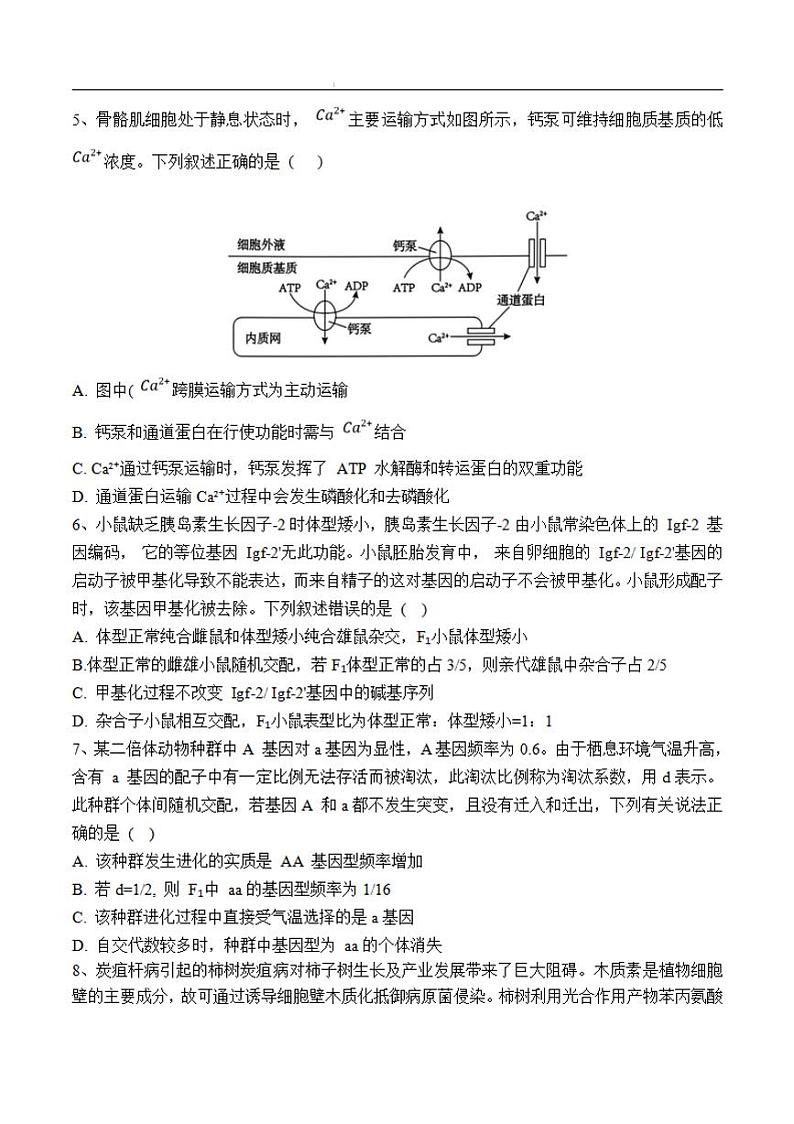 黑龙江省佳木斯市第一中学2025届高三上学期第五次调研考试生物试卷和参考答案第2页
