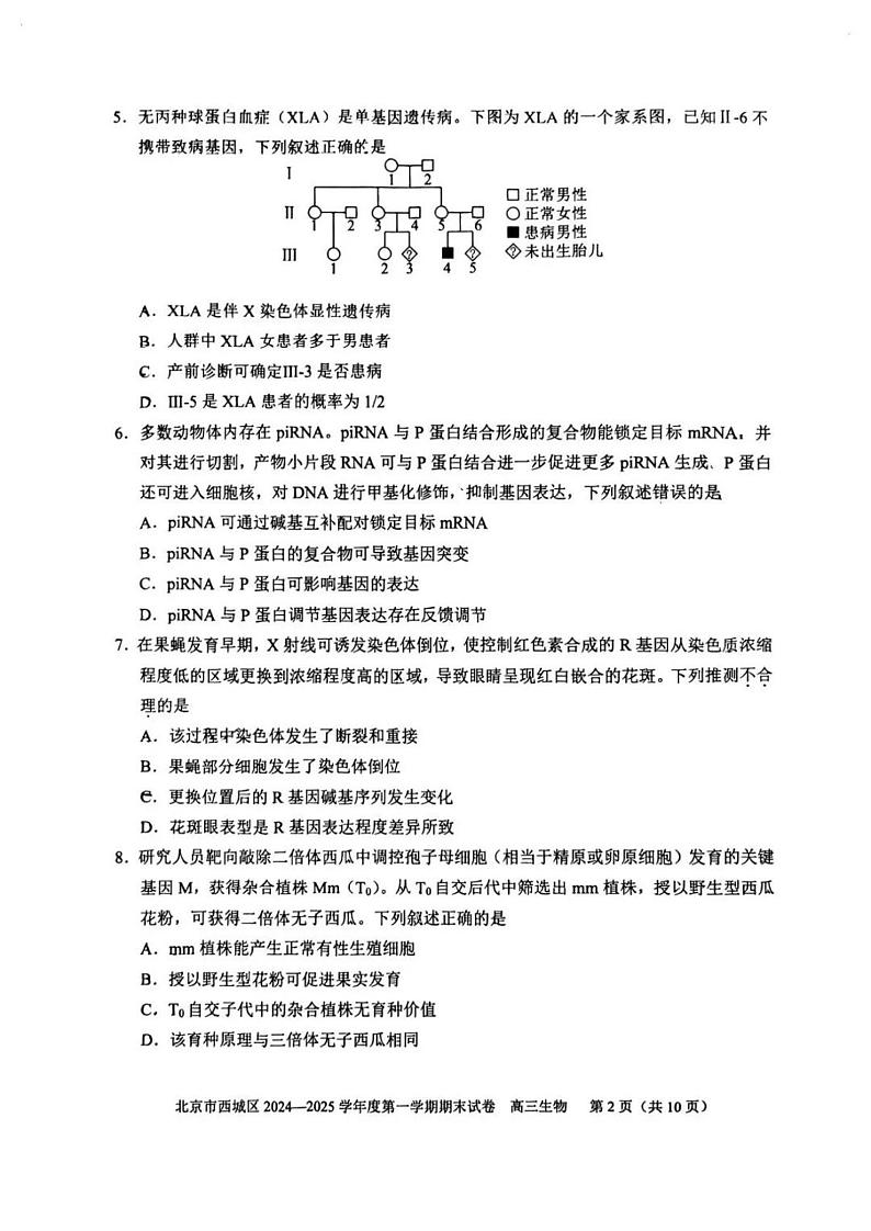 北京市西城区2024-2025学年度第一学期高三期末生物试题及答案第2页