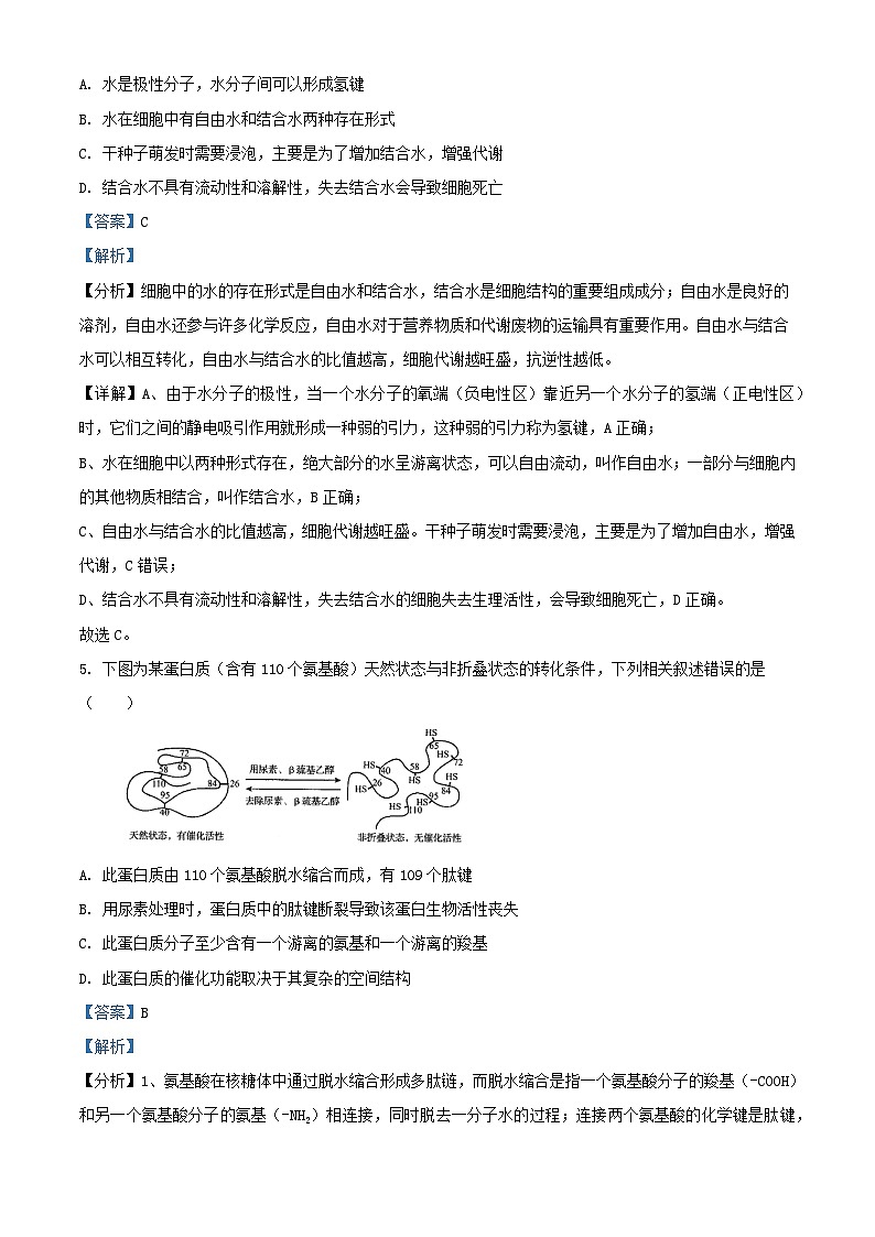 福建省泉州市泉港区2023_2024学年高一生物上学期12月月考试题含解析第3页