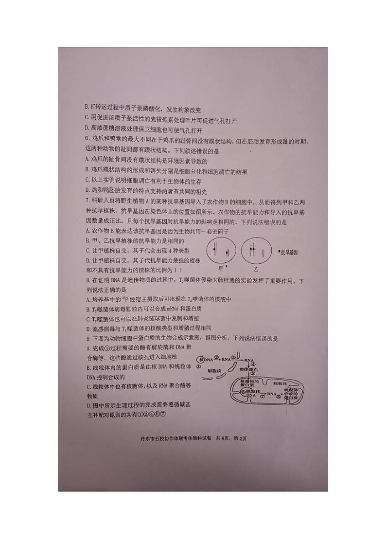 辽宁省丹东市2023_2024学年高三生物上学期12月联考试题pdf第2页