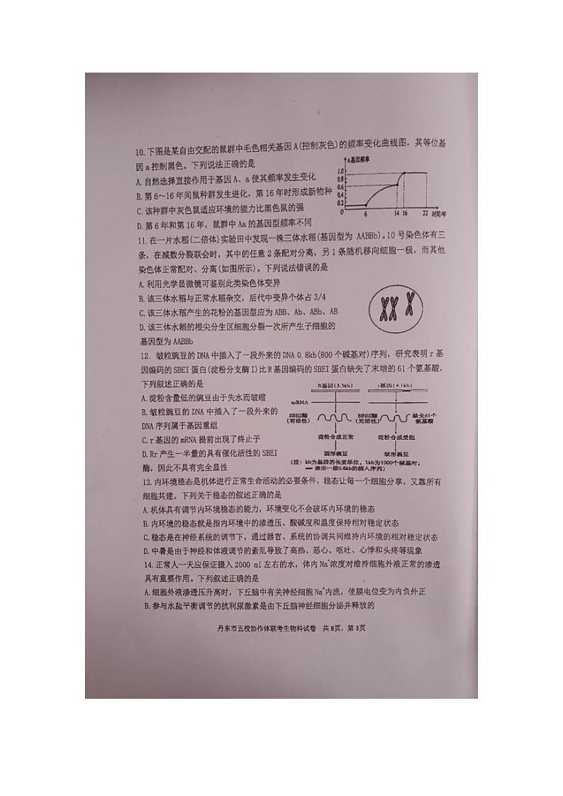 辽宁省丹东市2023_2024学年高三生物上学期12月联考试题pdf第3页