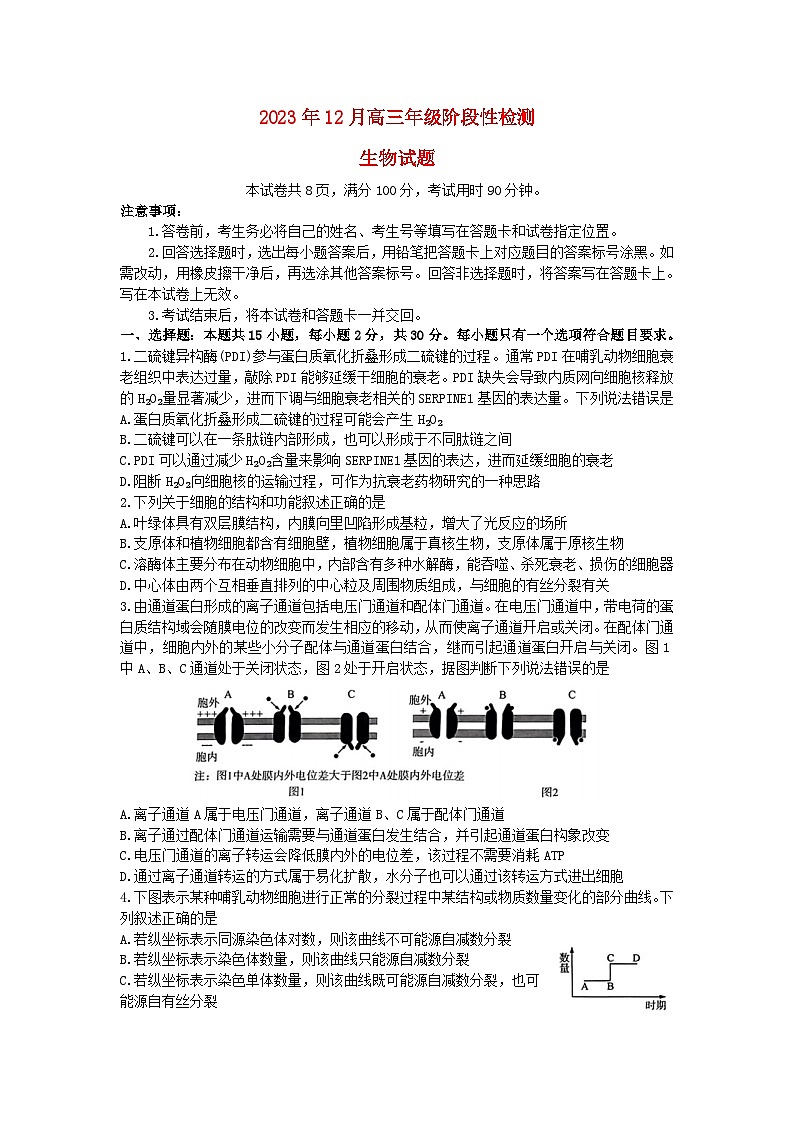 山东省2024届高三生物上学期12月阶段性检测试题第1页