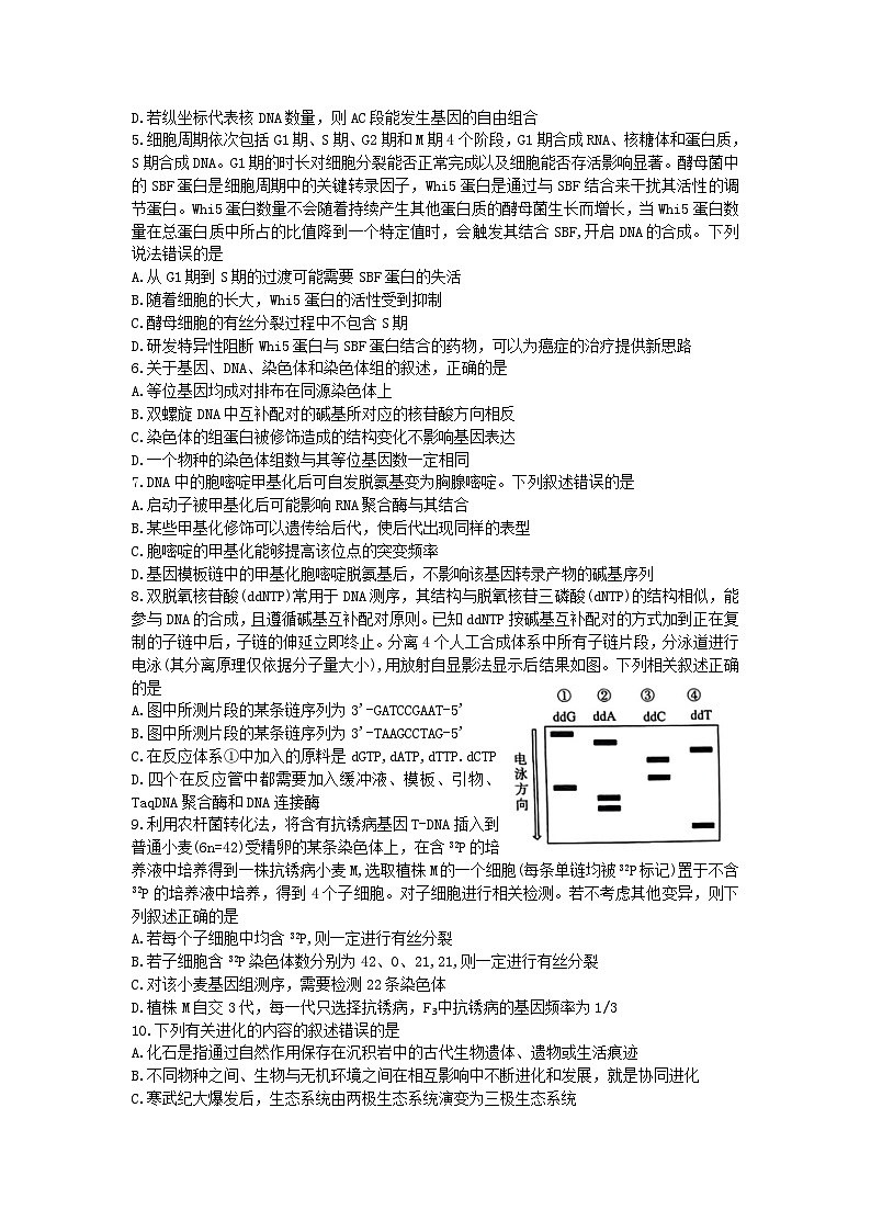 山东省2024届高三生物上学期12月阶段性检测试题第2页