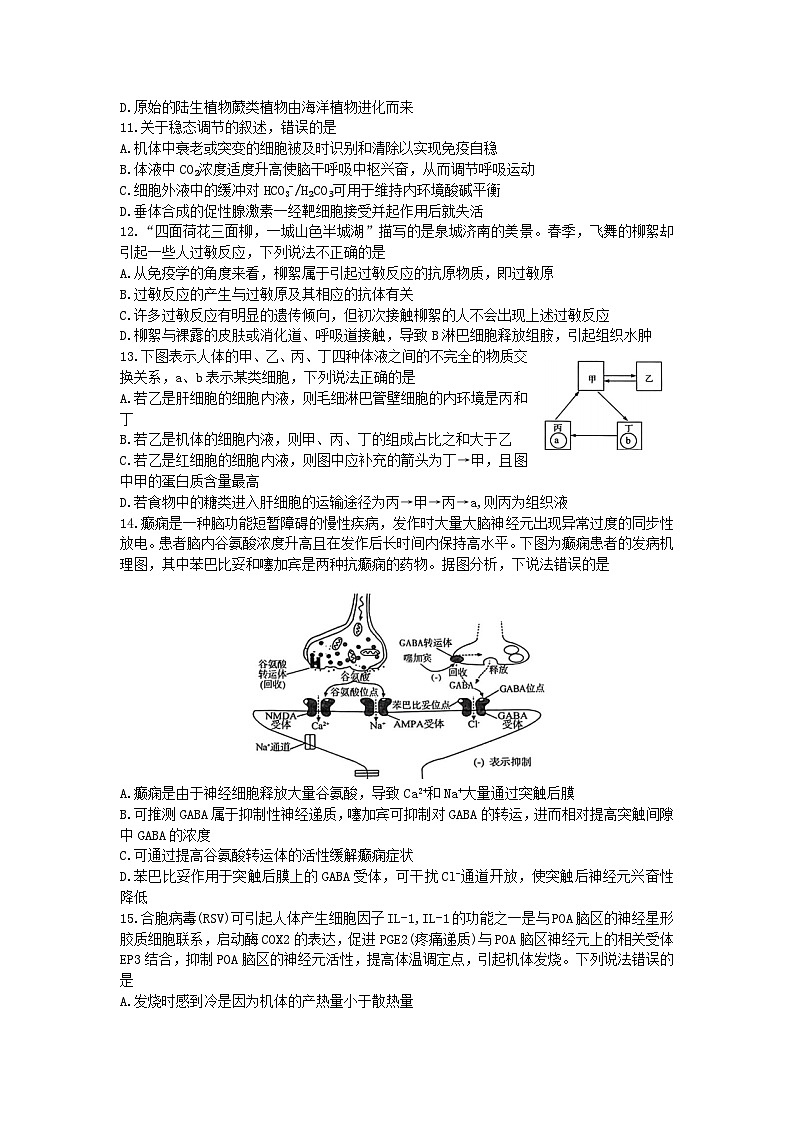 山东省2024届高三生物上学期12月阶段性检测试题第3页