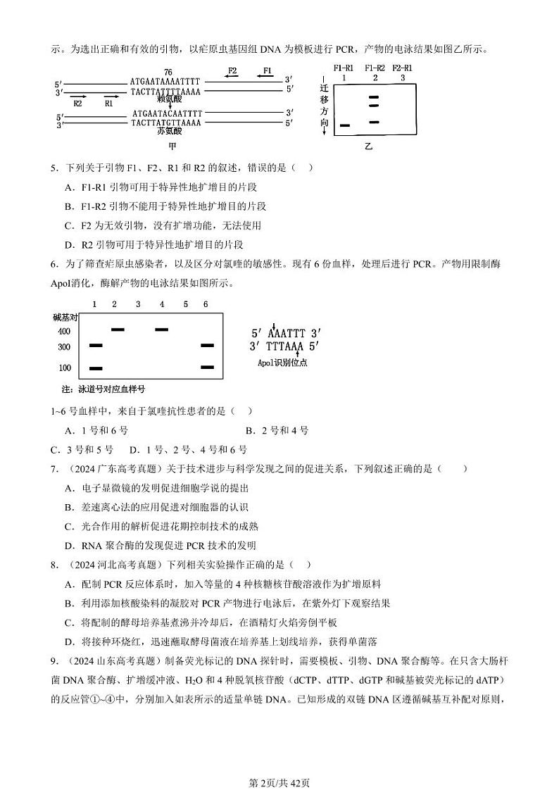 2022-2024全国高考真题生物汇编：基因工程的基本操作程序第2页