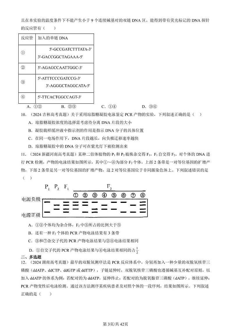2022-2024全国高考真题生物汇编：基因工程的基本操作程序第3页