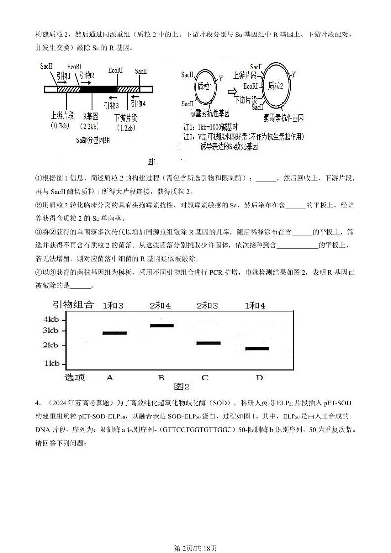 2022-2024全国高考真题生物汇编：基因工程的应用第2页