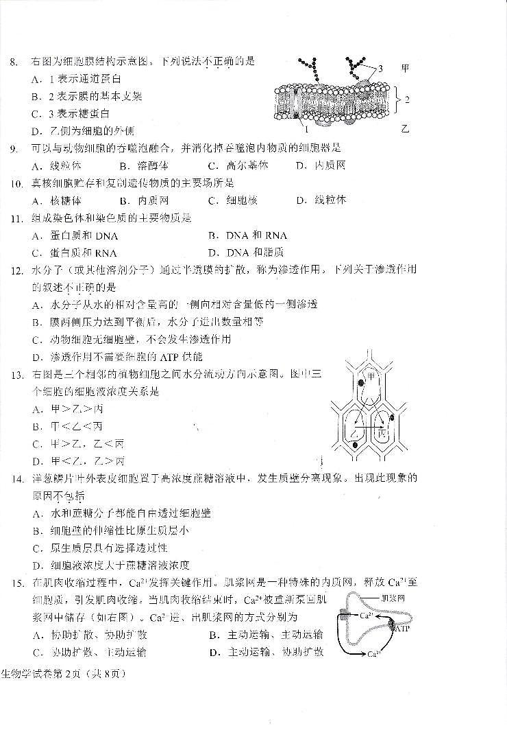 2025北京昌平高一（上）期末生物试卷第2页