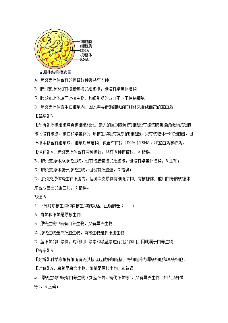 安徽省芜湖市2023-2024学年高一上学期1月期末生物试卷（解析版）第2页