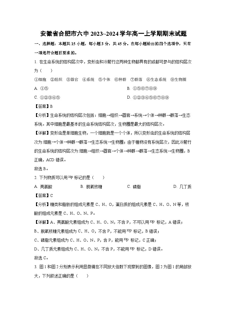 安徽省合肥市六中2023~2024学年高一上学期期末生物试卷（解析版）第1页