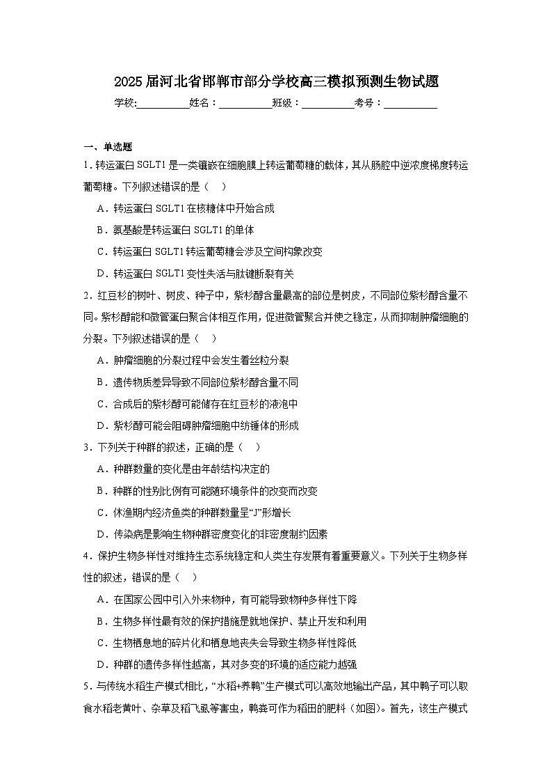 2025届河北省邯郸市部分学校高三模拟预测生物试题第1页