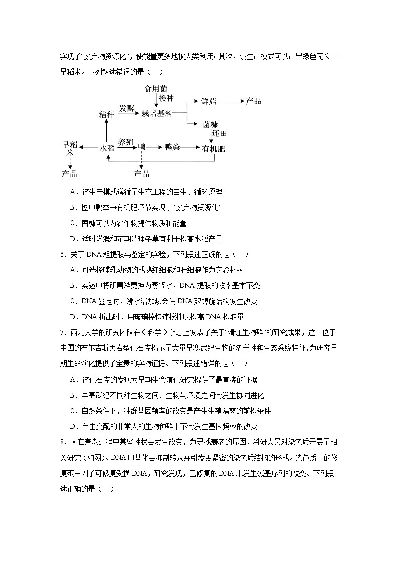 2025届河北省邯郸市部分学校高三模拟预测生物试题第2页