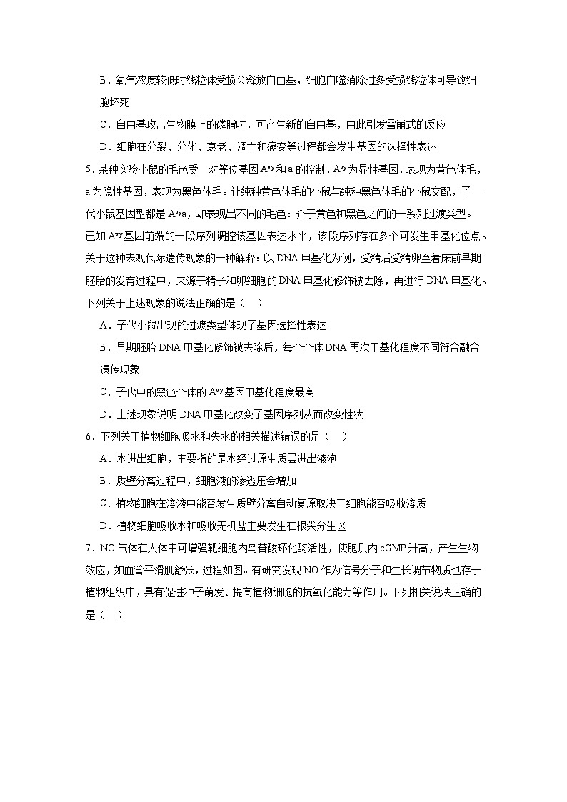 2025届湖南省永州市高考第二次模拟考试生物试卷第2页