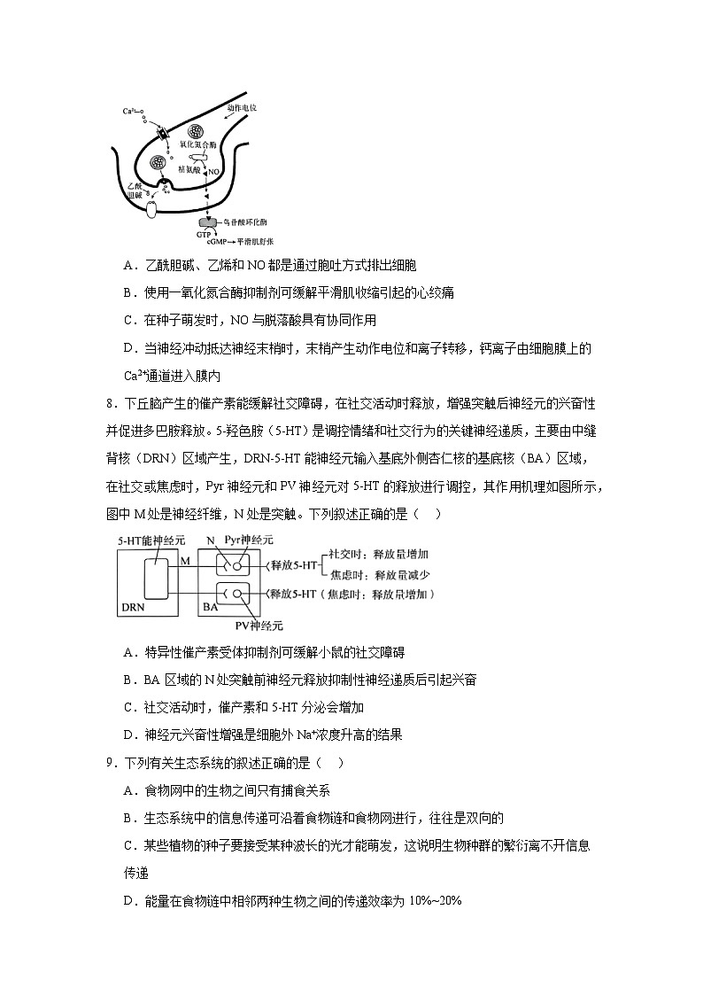 2025届湖南省永州市高考第二次模拟考试生物试卷第3页