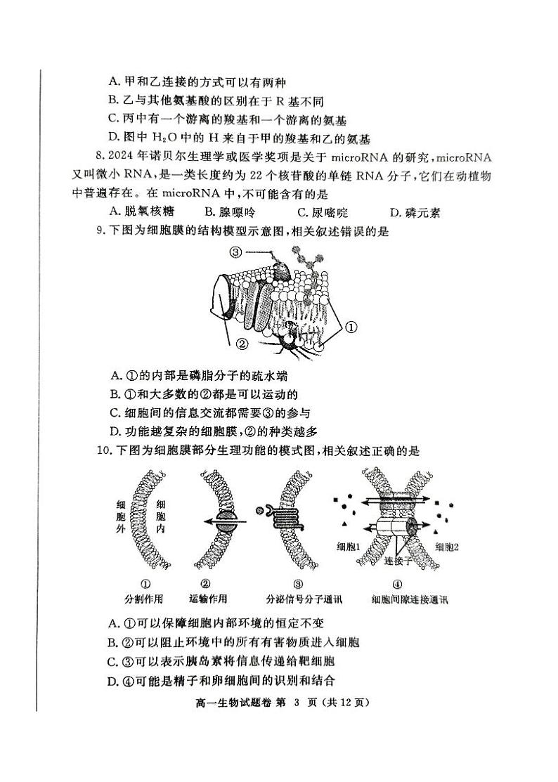 生物-郑州市2024-2025学年高一上学期期末考试试题第3页