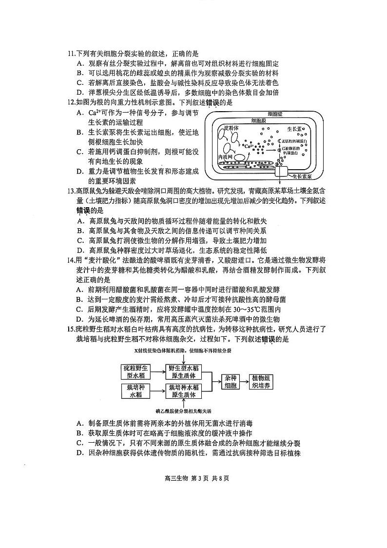 江苏省苏州市2024-2025学年高三上学期期末学业质量阳光指标调研生物试题及答案（苏州零模）第3页