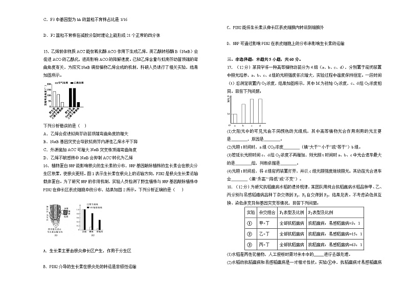 湖南省衡阳市衡阳县第四中学2024-2025学年高三上学期1月期末生物试题（含答案）第3页