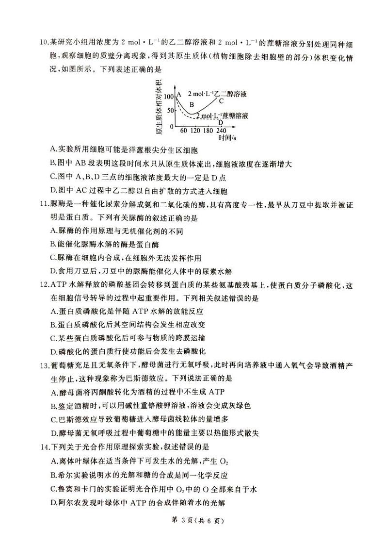 甘肃省平凉市静宁县六校联考2024-2025学年高一上学期1月期末考试生物试题（PDF版附解析）第3页