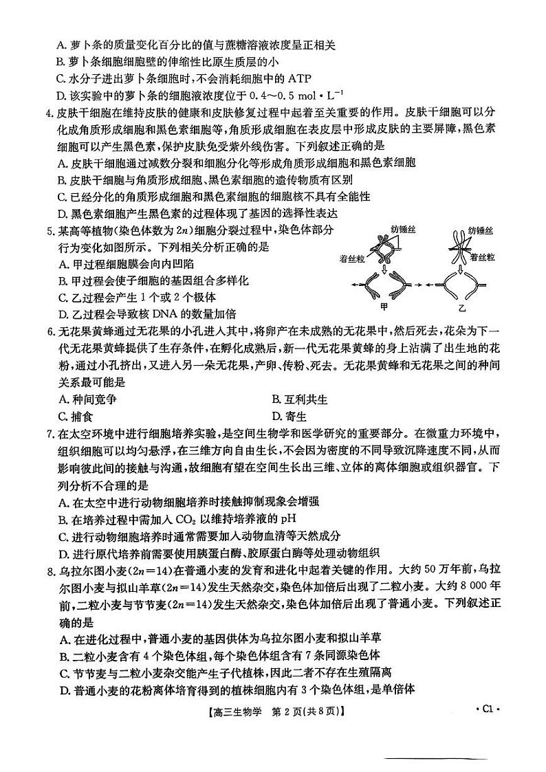 河北省邢台市部分高中2024-2025学年高三上学期12月第二次联考生物试题第2页