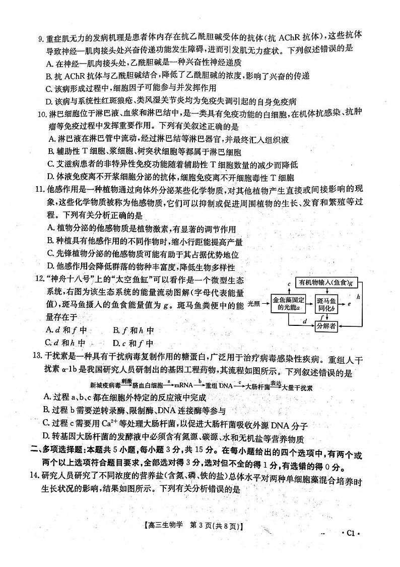 河北省邢台市部分高中2024-2025学年高三上学期12月第二次联考生物试题第3页
