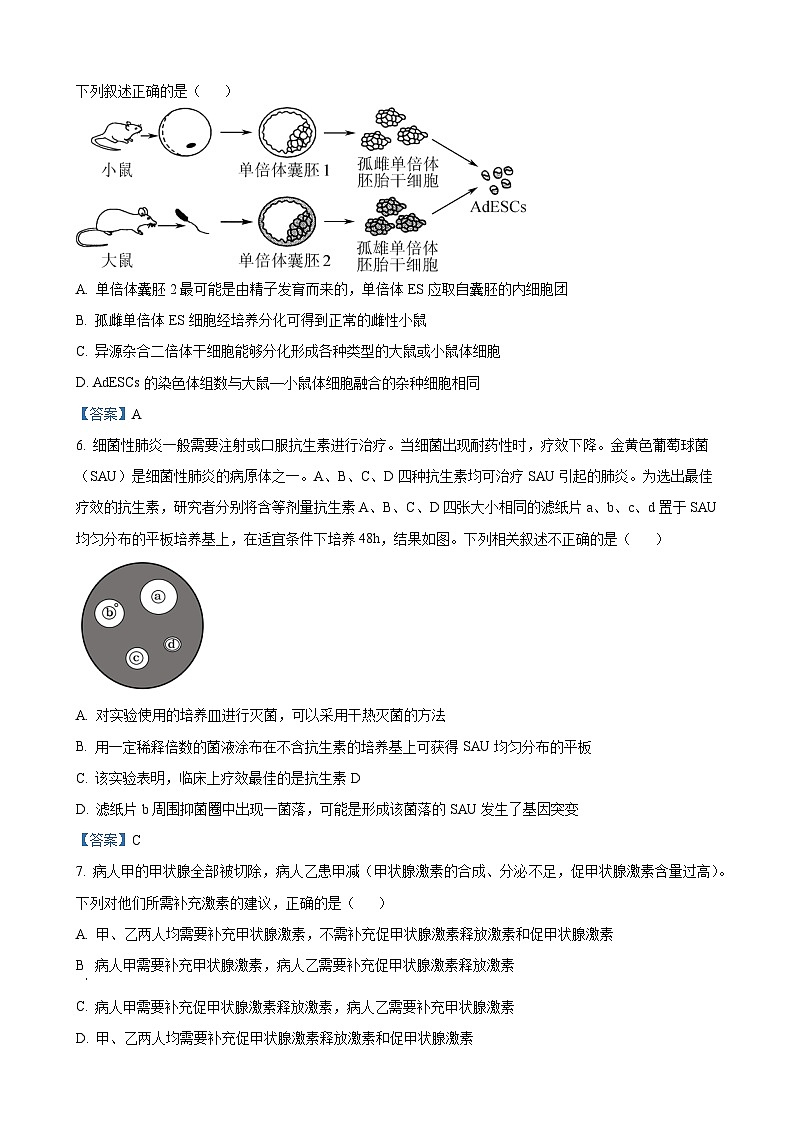 甘肃省兰州市城关区兰州第一中学2024-2025学年高三上学期11月期中生物试题第2页