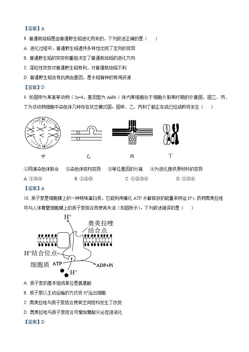 甘肃省兰州市城关区兰州第一中学2024-2025学年高三上学期11月期中生物试题第3页