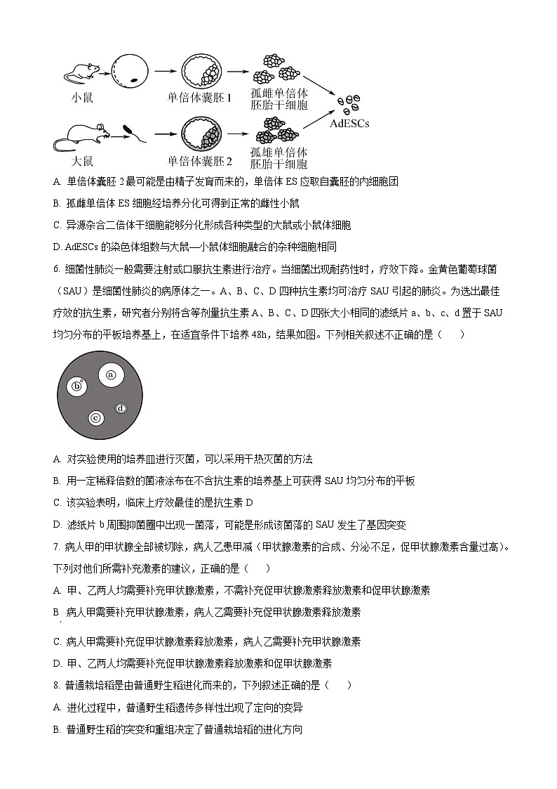 （原卷）兰州高三生物3第2页