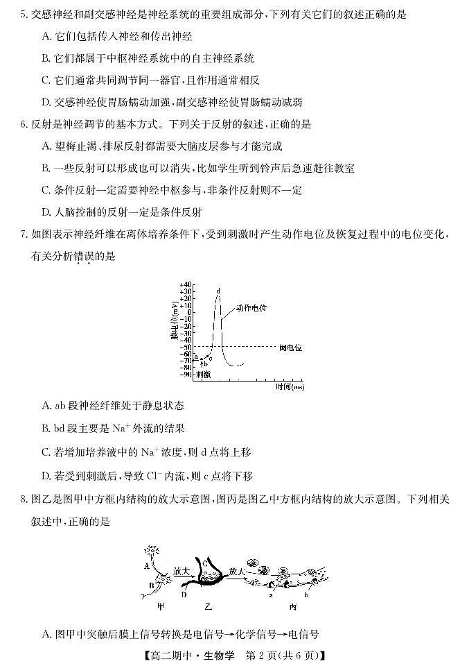 甘肃省庆阳市华池县第一中学2024-2025学年高二上学期10月期中考试生物试题第2页