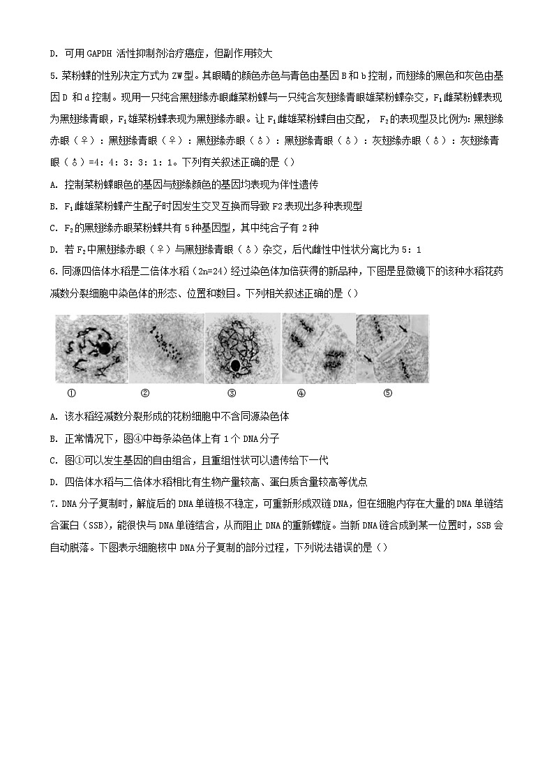 江苏省无锡市四校2023_2024学年高三生物上学期12月学情调研试题含解析第2页