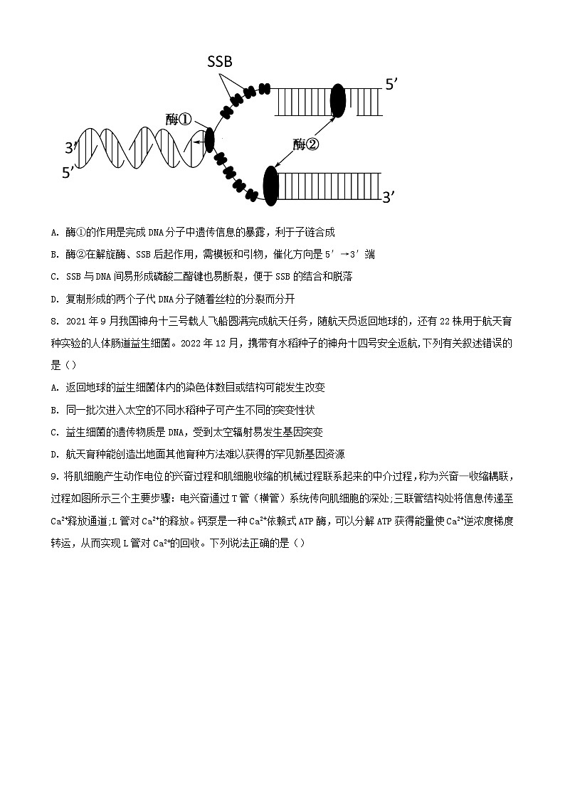 江苏省无锡市四校2023_2024学年高三生物上学期12月学情调研试题含解析第3页